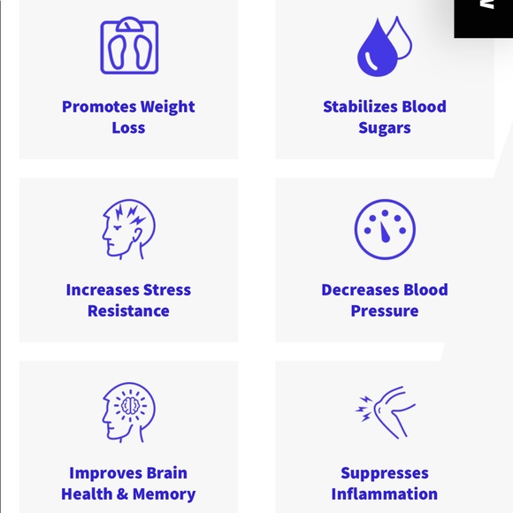 InMit - Picture 2 of 3